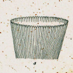 Prorodon niveus (detail of oral basket)